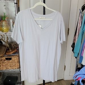 Zenana Outfitters Light Gray V-Neck Tee